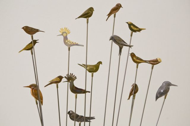 Bildgröße auf die Monitorauflösung (640x480 px) optimiert