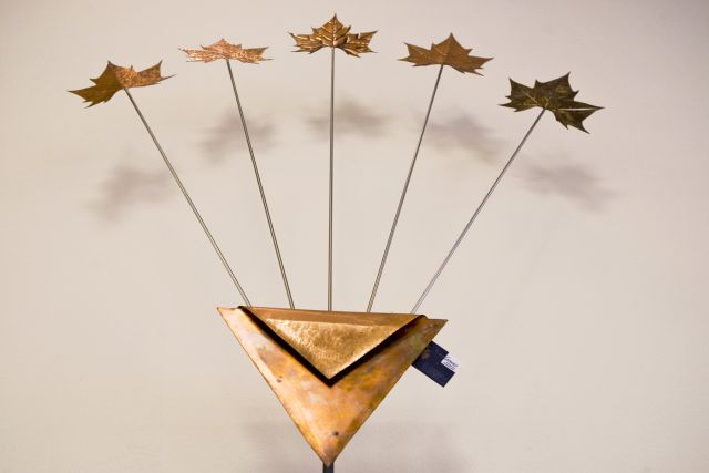 Bildgröße auf die Monitorauflösung (640x480 px) optimiert