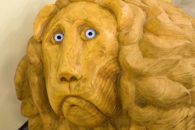 Bildgröße auf die Monitorauflösung (640x480 px) optimiert