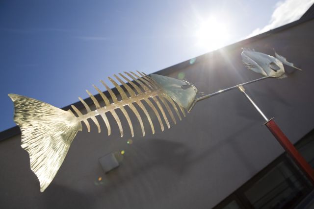 Bildgröße auf die Monitorauflösung (640x480 px) optimiert