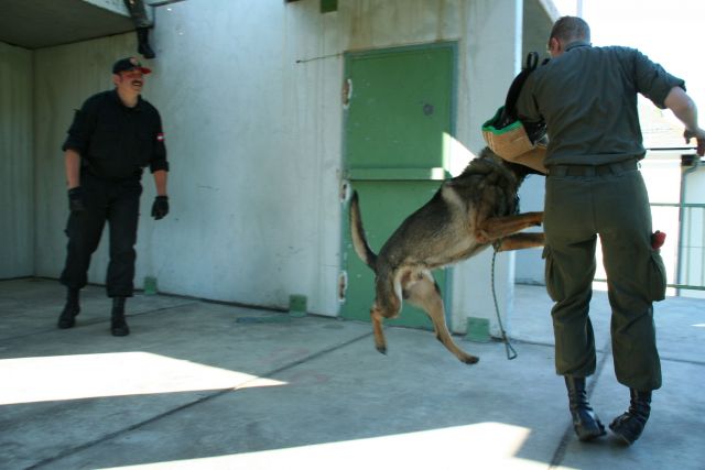 Bildgr&ouml;&szlig;e auf die Monitoraufl&ouml;sung (640x480 px) optimiert