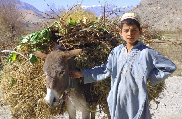 Bildgröße auf die Monitorauflösung (640x480 px) optimiert