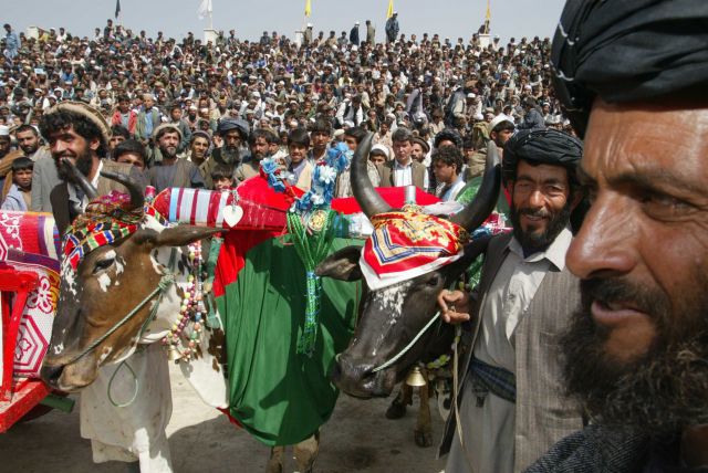 Bildname: landleute_17.jpg, momentane Bildgröße: 640x428 px Bildgröße auf die Monitorauflösung (640x480 px) optimiert