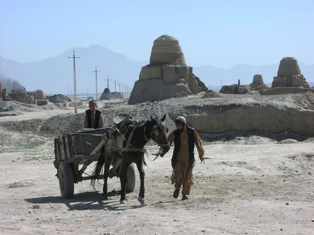 Bildgröße auf die Monitorauflösung (640x480 px) optimiert