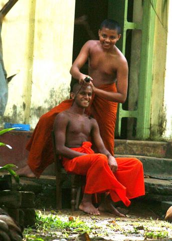 Bildgröße auf die Monitorauflösung (640x480 px) optimiert