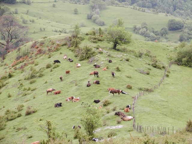 Bildgröße auf die Monitorauflösung (640x480 px) optimiert