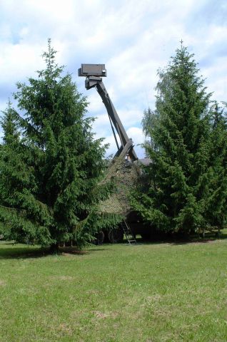 Bildgr&ouml;&szlig;e auf die Monitoraufl&ouml;sung (640x480 px) optimiert