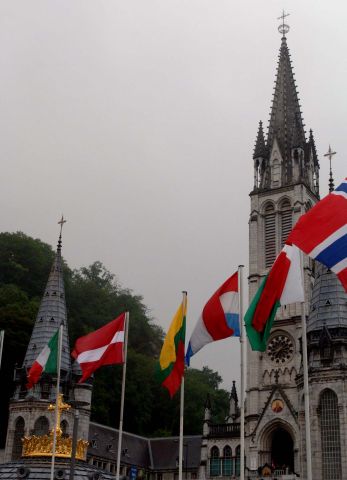 Bildgröße auf die Monitorauflösung (640x480 px) optimiert