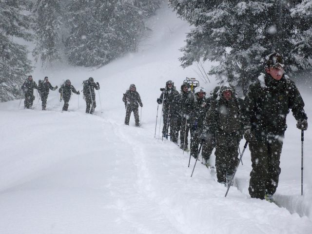 Bildgröße auf die Monitorauflösung (640x480 px) optimiert