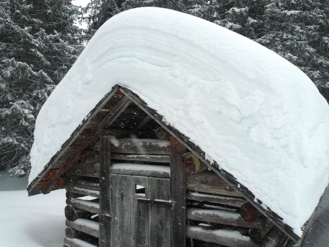 Bildgröße auf die Monitorauflösung (640x480 px) optimiert