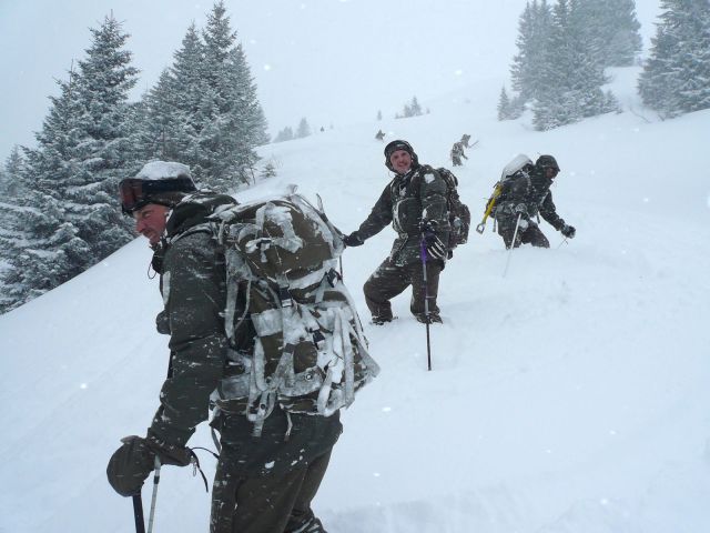 Bildgr&ouml;&szlig;e auf die Monitoraufl&ouml;sung (640x480 px) optimiert