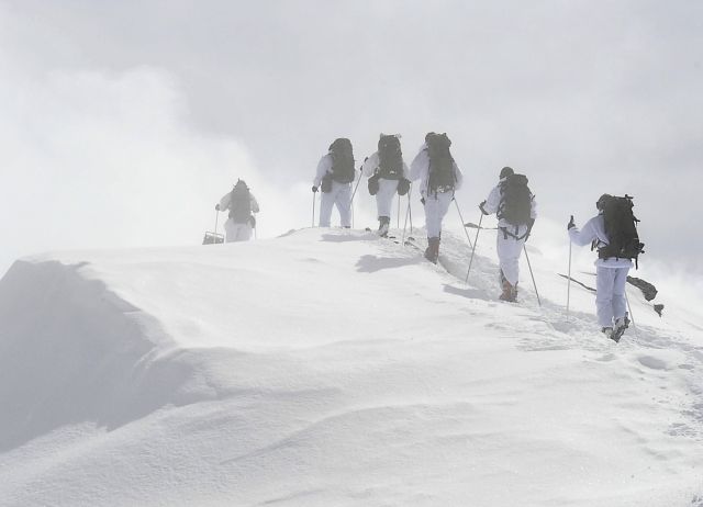 Bildgröße auf die Monitorauflösung (640x480 px) optimiert