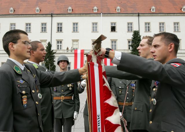 Bildgröße auf die Monitorauflösung (640x480 px) optimiert