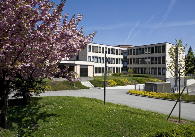 Bildgröße auf die Monitorauflösung (640x480 px) optimiert