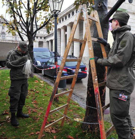 Bildgr&ouml;&szlig;e auf die Monitoraufl&ouml;sung (640x480 px) optimiert