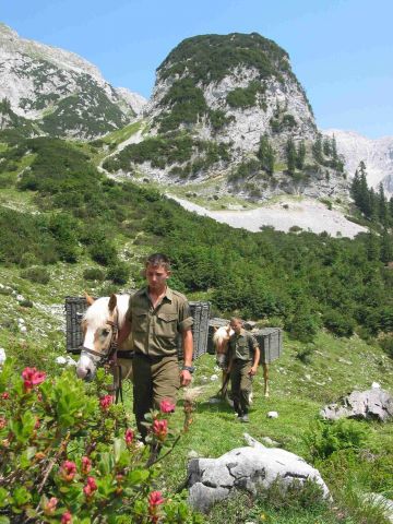 Bildgr&ouml;&szlig;e auf die Monitoraufl&ouml;sung (640x480 px) optimiert