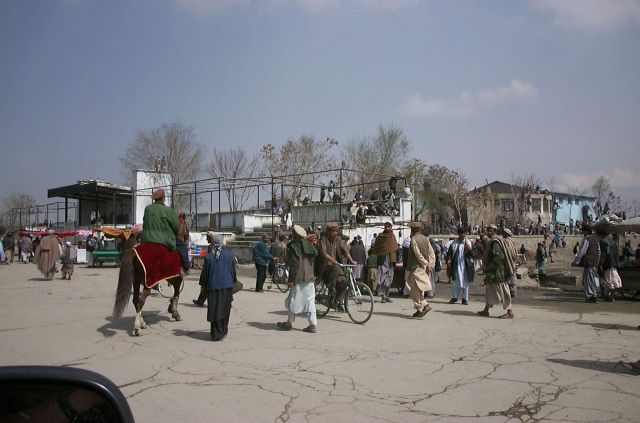 Bildgröße auf die Monitorauflösung (640x480 px) optimiert