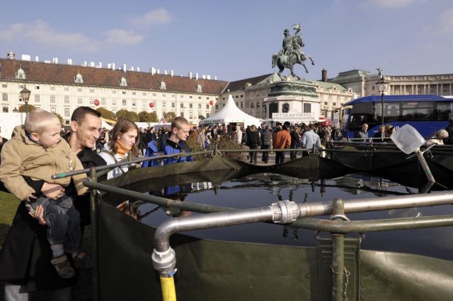 Bildgröße auf die Monitorauflösung (640x480 px) optimiert