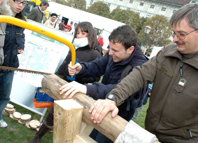 Bildgröße auf die Monitorauflösung (640x480 px) optimiert