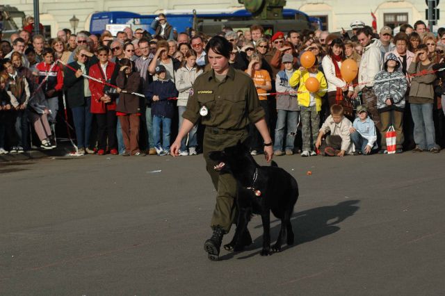 Bildgröße auf die Monitorauflösung (640x480 px) optimiert