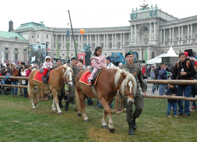 Bildgröße auf die Monitorauflösung (640x480 px) optimiert