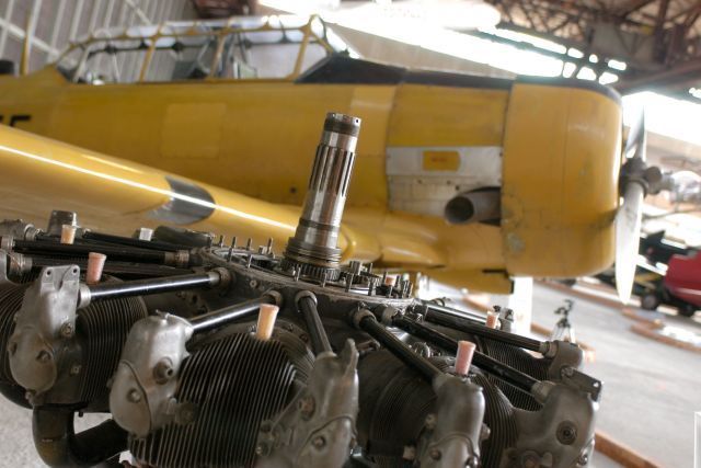 Bildgr&ouml;&szlig;e auf die Monitoraufl&ouml;sung (640x480 px) optimiert