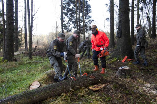 Bildgr&ouml;&szlig;e auf die Monitoraufl&ouml;sung (640x480 px) optimiert