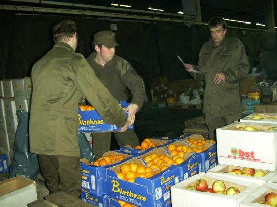 Bildgröße auf die Monitorauflösung (640x480 px) optimiert