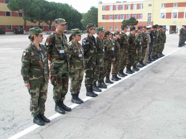 Bildgröße auf die Monitorauflösung (640x480 px) optimiert