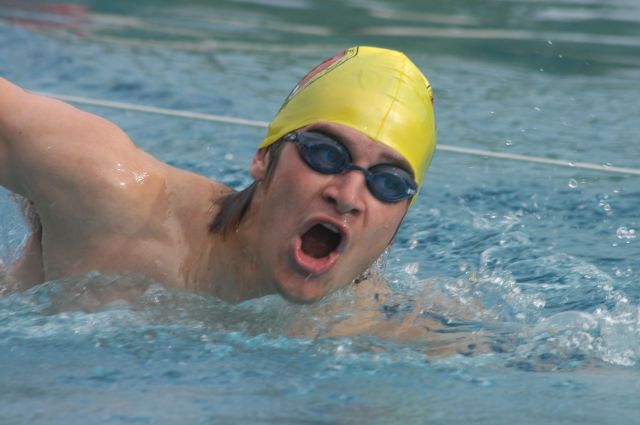 Bildgröße auf die Monitorauflösung (640x480 px) optimiert