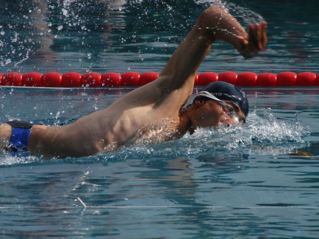 Bildgröße auf die Monitorauflösung (640x480 px) optimiert