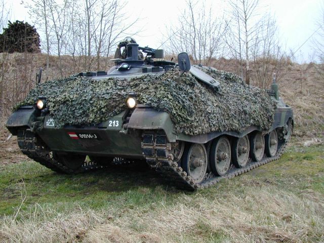 Bildgröße auf die Monitorauflösung (640x480 px) optimiert