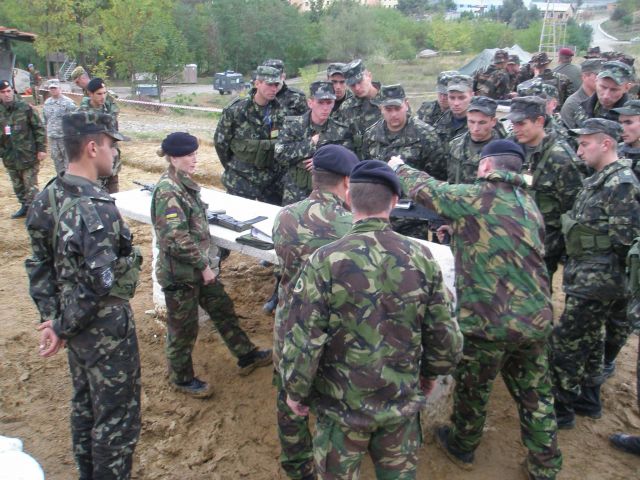 Bildgröße auf die Monitorauflösung (640x480 px) optimiert