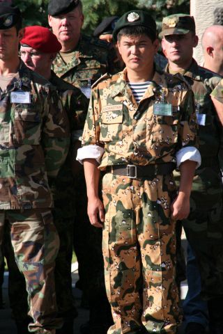 Bildgröße auf die Monitorauflösung (640x480 px) optimiert