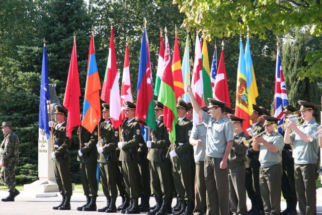 Bildgröße auf die Monitorauflösung (640x480 px) optimiert