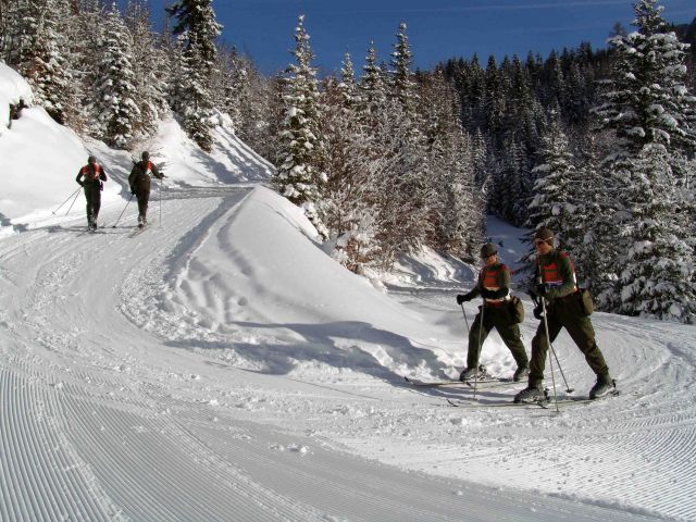 Bildgröße auf die Monitorauflösung (640x480 px) optimiert