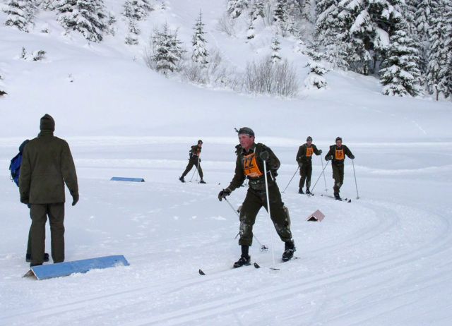 Bildgröße auf die Monitorauflösung (640x480 px) optimiert