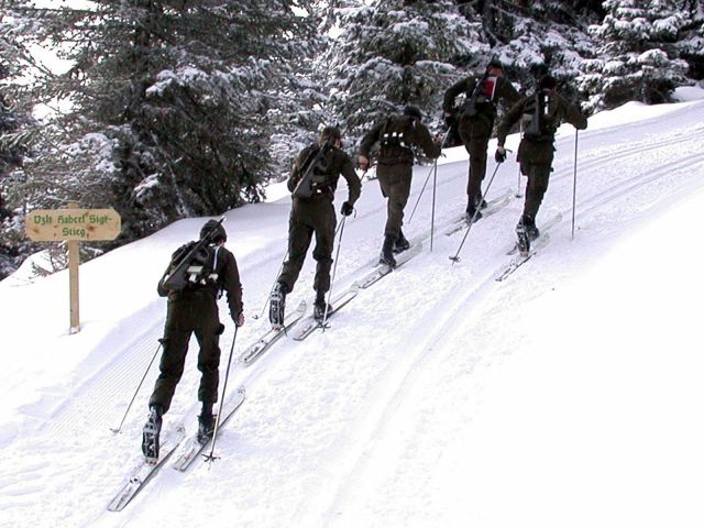 Bildname: patrouille01.jpg, momentane Bildgröße: 640x480 px Bildgröße auf die Monitorauflösung (640x480 px) optimiert