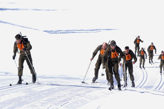 Bildgr&ouml;&szlig;e auf die Monitoraufl&ouml;sung (640x480 px) optimiert