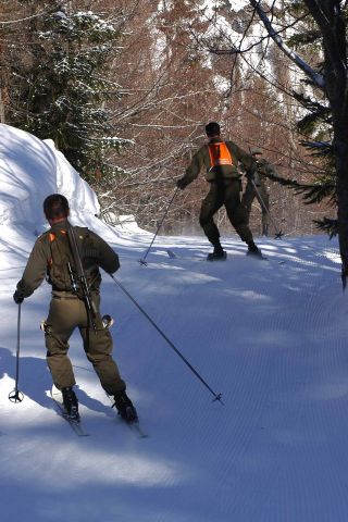 Bildgr&ouml;&szlig;e auf die Monitoraufl&ouml;sung (640x480 px) optimiert