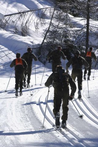 Bildgr&ouml;&szlig;e auf die Monitoraufl&ouml;sung (640x480 px) optimiert