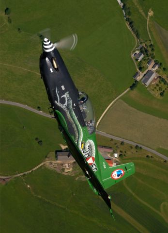 Bildname: pc7_05.jpg, momentane Bildgröße: 347x480 px Bildgröße auf die Monitorauflösung (640x480 px) optimiert