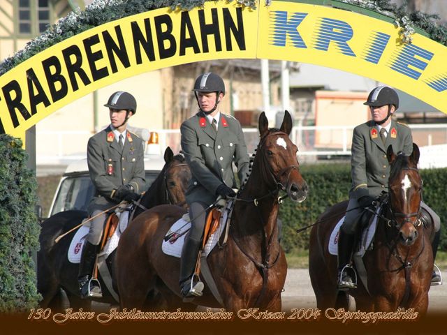 Bildgröße auf die Monitorauflösung (640x480 px) optimiert