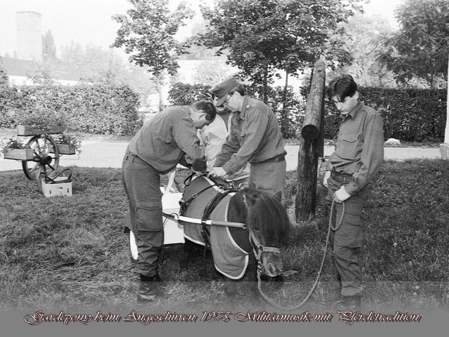 Bildgröße auf die Monitorauflösung (640x480 px) optimiert