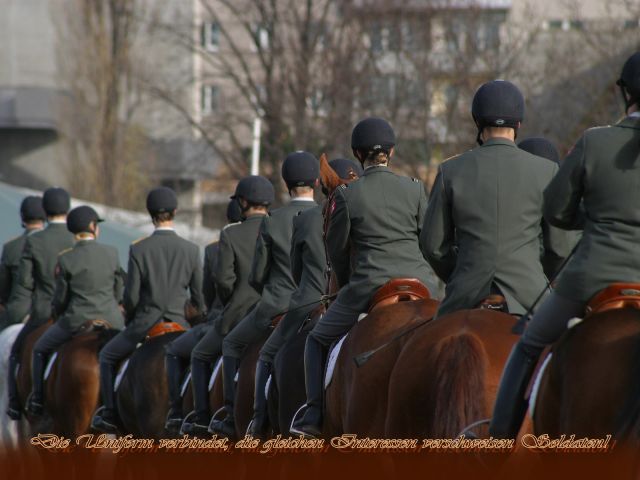 Bildgröße auf die Monitorauflösung (640x480 px) optimiert