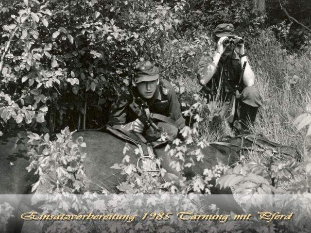 Bildgröße auf die Monitorauflösung (640x480 px) optimiert