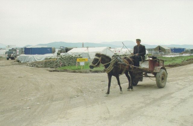 Bildgröße auf die Monitorauflösung (640x480 px) optimiert