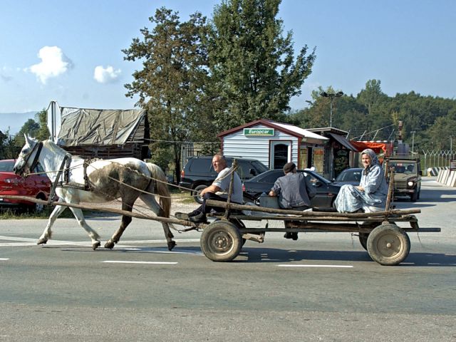 Bildgröße auf die Monitorauflösung (640x480 px) optimiert