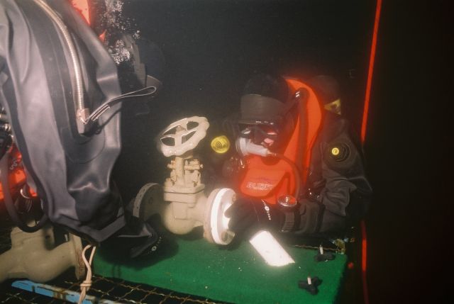 Bildgr&ouml;&szlig;e auf die Monitoraufl&ouml;sung (640x480 px) optimiert