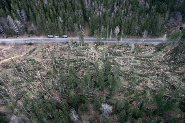 Bildgr&ouml;&szlig;e auf die Monitoraufl&ouml;sung (640x480 px) optimiert